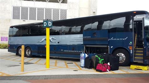 greyhound miami international airport|flix bus miami international airport.